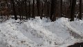 Snowed Out 1